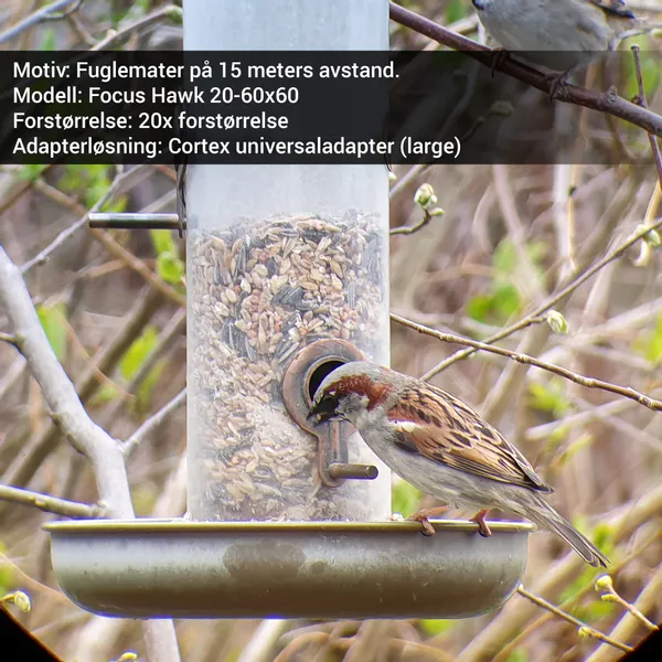 Hovedbilde Focus Outdoor 20-60x60 standard-pakke