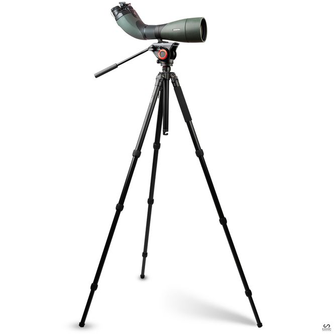 Hovedbilde Swarovski BTX 35x95 standard-pakke 